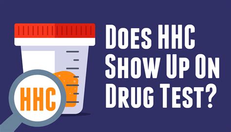 That makes it exciting, but also more than a little mysterious!One of the biggest unknowns about <b>HHC</b> is whether or not it will <b>show</b> <b>up</b> on a <b>drug</b> <b>test</b>. . Does hhc show up in a drug test